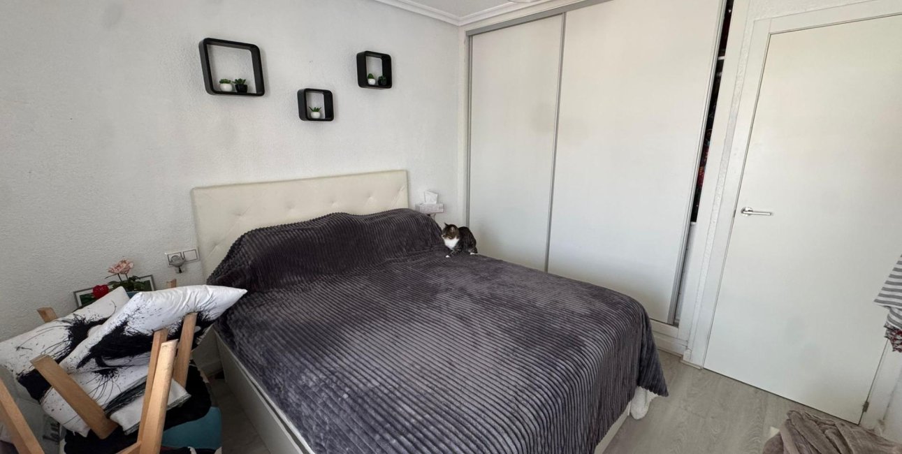 Rynek wtórny - Bungalowy -
Torrevieja - Torretas - La Siesta - El Limonar