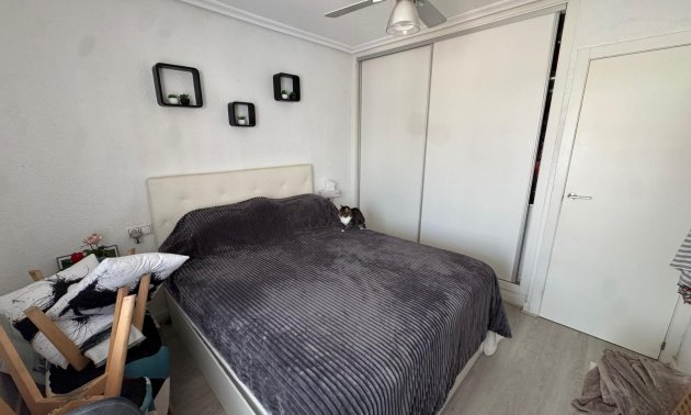 Rynek wtórny - Bungalowy -
Torrevieja - Torretas - La Siesta - El Limonar