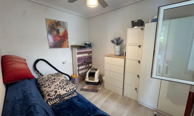 Rynek wtórny - Bungalowy -
Torrevieja - Torretas - La Siesta - El Limonar