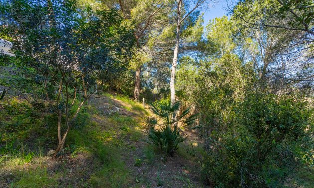 Resale - Villa -
Orihuela - Orihuela Costa