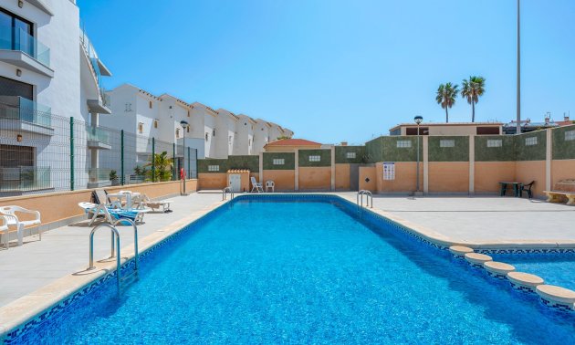 Rynek wtórny - Mieszkanie  -
Torrevieja - La Mata
