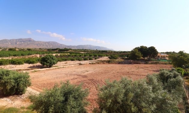 Resale - Country House -
Albatera - Albatera - Country