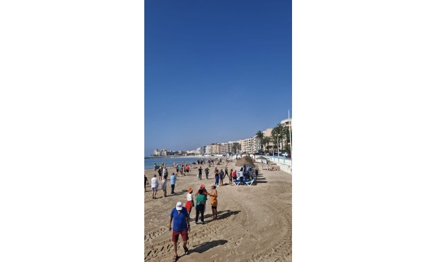 Rynek wtórny - Mieszkanie  -
Torrevieja - Playa Los Locos