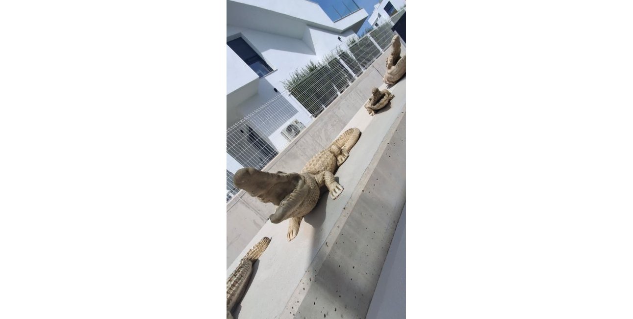 Resale - Villa -
Los Montesinos - Entre Naranjos / Vistabella Golf