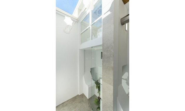 Obra nueva - Villa -
Los Montesinos - La Herrada