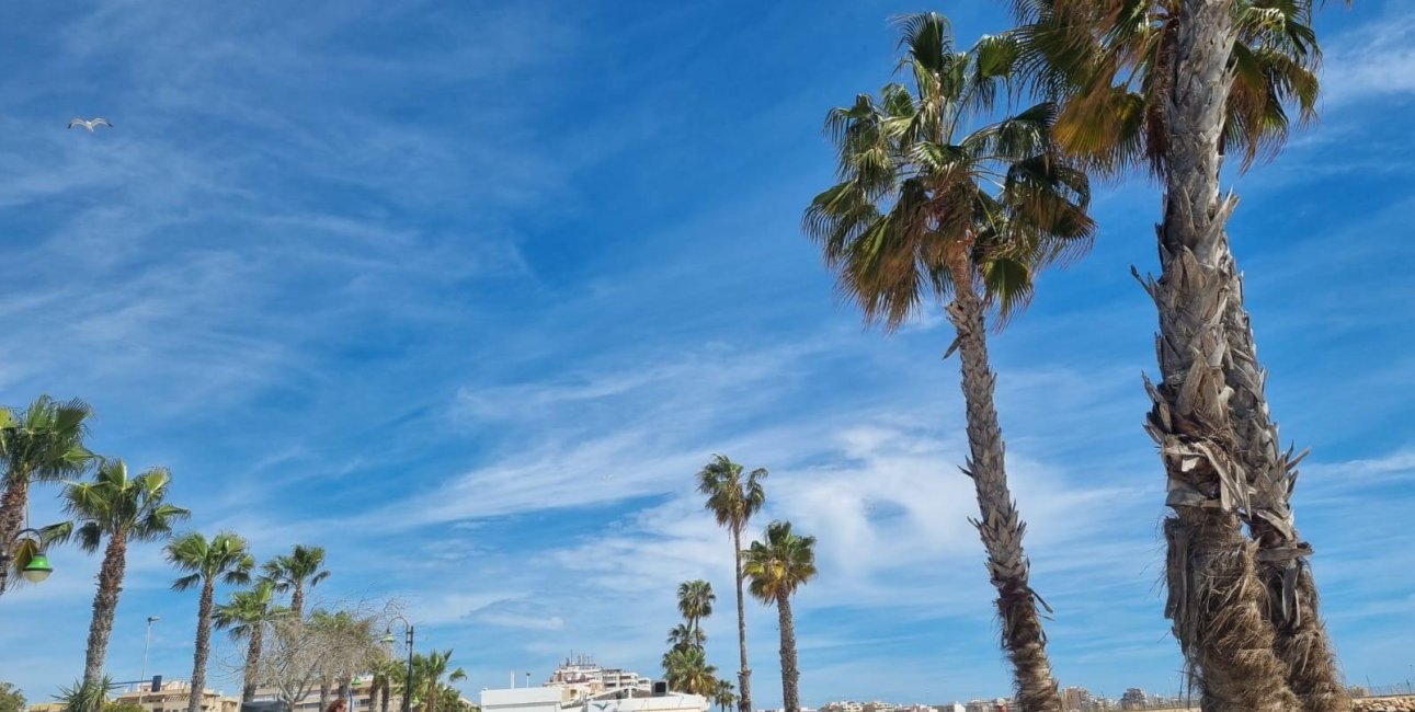 Resale - Apartment / flat -
Torrevieja - Playa Los Naufragos