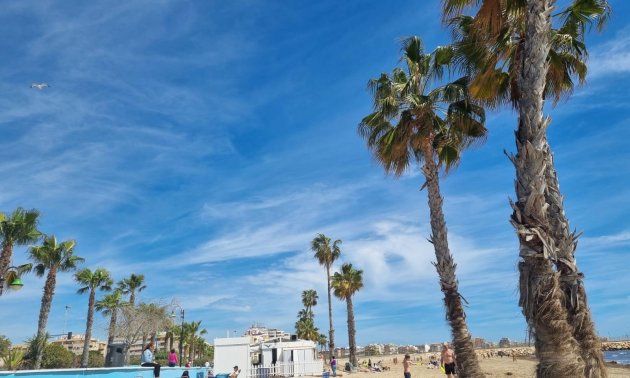 Resale - Apartment / flat -
Torrevieja - Playa Los Naufragos