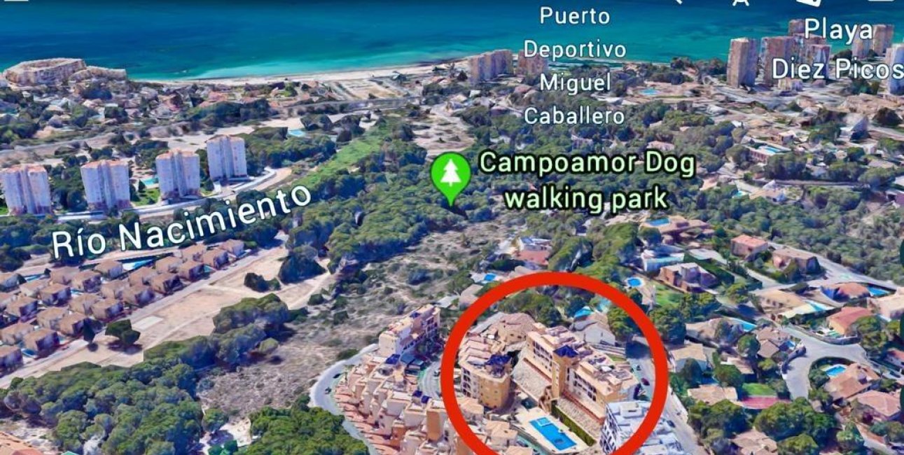 Rynek wtórny - Garaż -
Dehesa de campoamor - Altos de campoamor