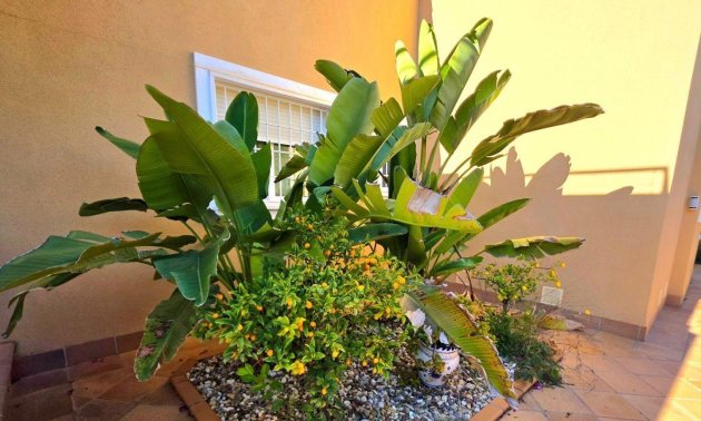 Resale - Villa -
Dehesa de campoamor - Campoamor
