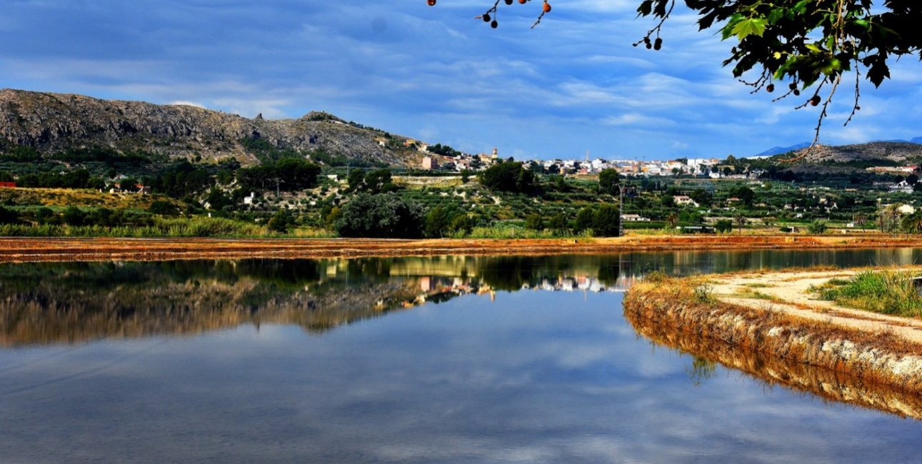 Obra nueva - Villa -
Calasparra - Coto Riñales