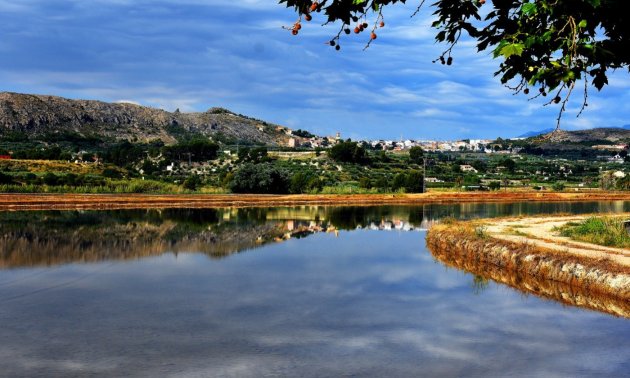 Obra nueva - Villa -
Calasparra - Coto Riñales