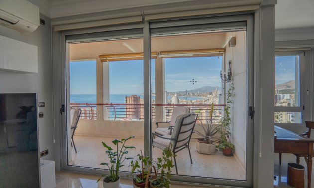 Resale - Apartment / flat -
Benidorm - Benidorm - City