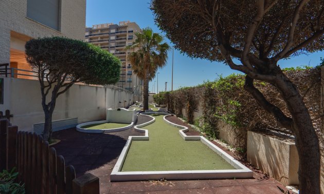 Resale - Apartment / flat -
Guardamar del Segura - Guardamar del Segura - Town