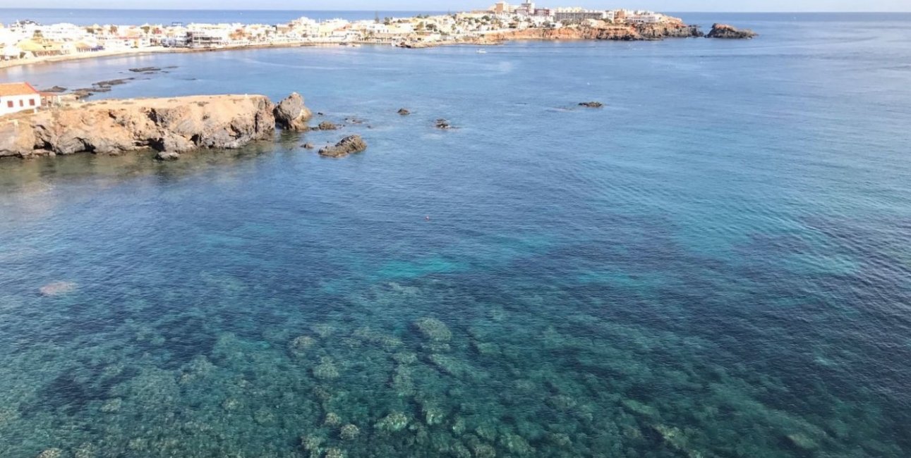 Rynek pierwotny - Willa -
Cabo de Palos - Cala Medina