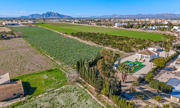 Resale - Country House -
Dolores - Dolores - Country