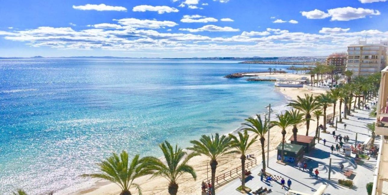 New Build - Villa -
Torrevieja - Los Balcones - Los Altos del Edén