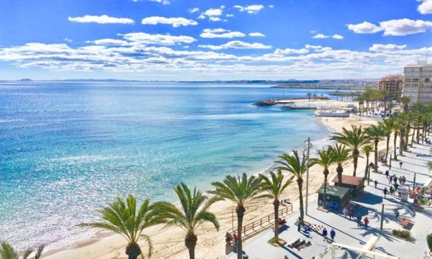 New Build - Villa -
Torrevieja - Los Balcones - Los Altos del Edén