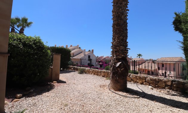 Rynek wtórny - Bungalowy -
Algorfa - La Finca Golf Resort
