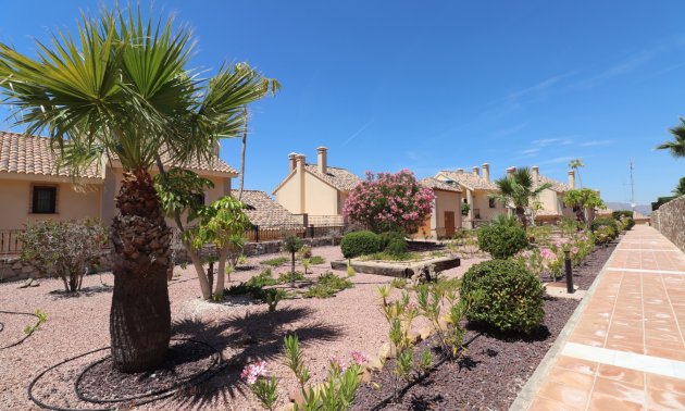 Rynek wtórny - Bungalowy -
Algorfa - La Finca Golf Resort