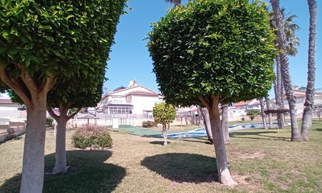 Resale - Apartment / flat -
Orihuela Costa - Playa Flamenca