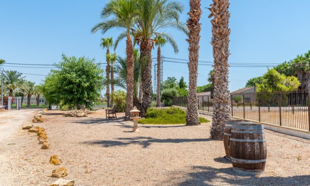 Resale - Country House -
Catral - Catral - Country