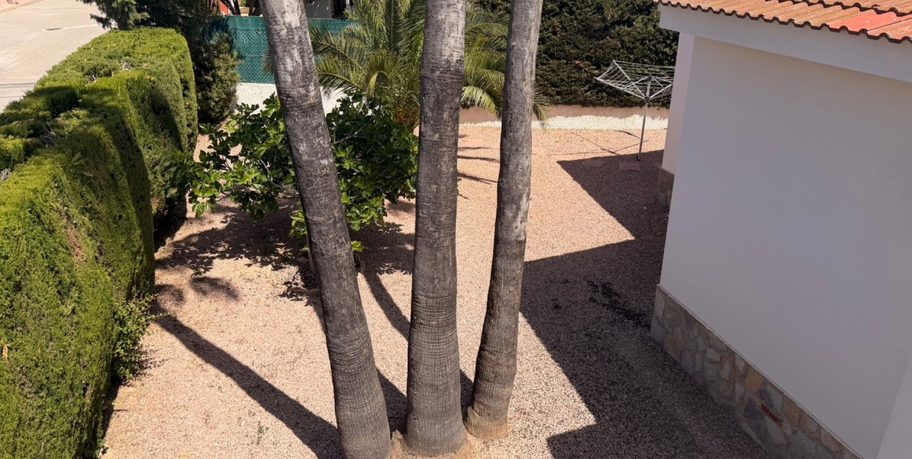 Resale - Villa -
Ciudad Quesada - Ciudad Quesada - Town