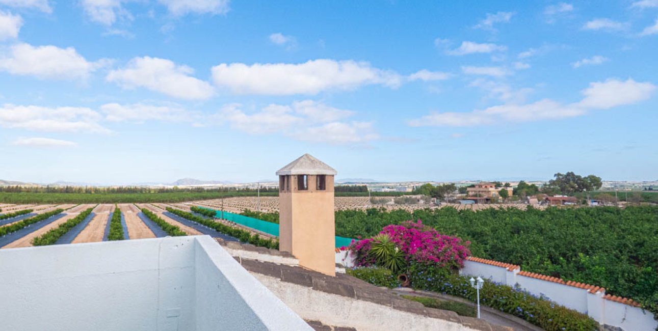 Resale - Country House -
San Miguel de Salinas - San Miguel - Country