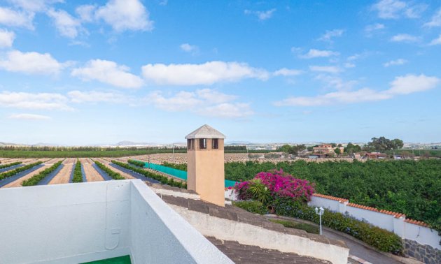 Resale - Country House -
San Miguel de Salinas - San Miguel - Country