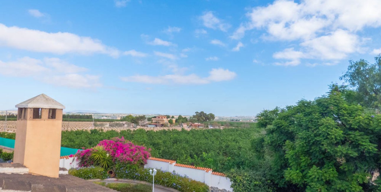 Resale - Country House -
San Miguel de Salinas - San Miguel - Country