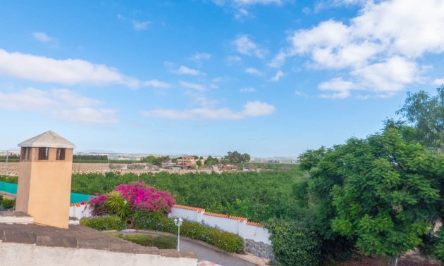 Resale - Country House -
San Miguel de Salinas - San Miguel - Country