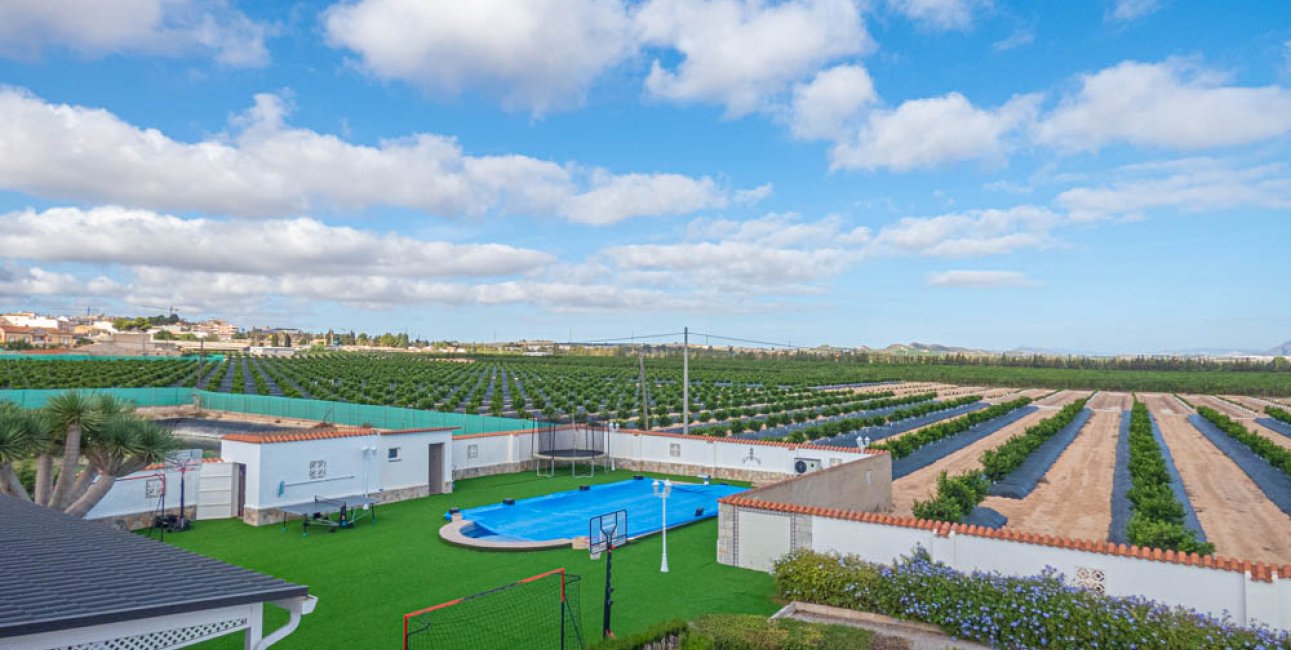 Resale - Country House -
San Miguel de Salinas - San Miguel - Country