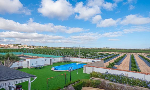 Resale - Country House -
San Miguel de Salinas - San Miguel - Country