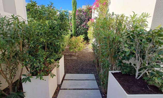 Resale - Villa -
Algorfa - La Finca Golf Resort
