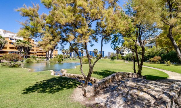 Resale - Apartment / flat -
Torrevieja - Punta prima