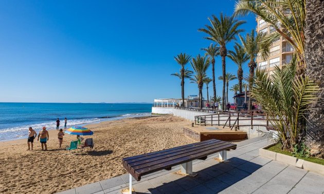 Rynek wtórny - Mieszkanie w bloku -
Torrevieja - Playa del Cura