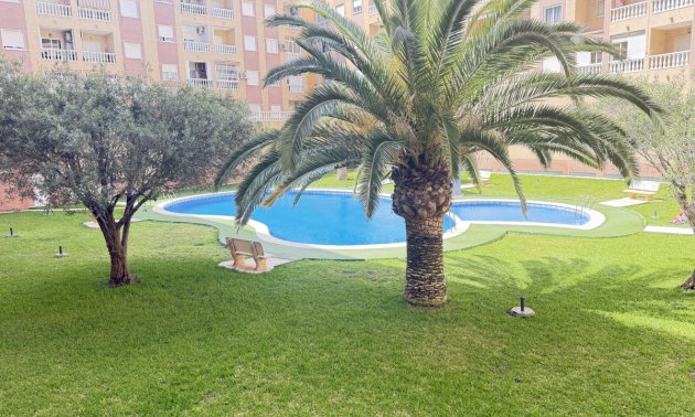 Resale - Apartment / flat -
Torrevieja - Torrevieja - Centre