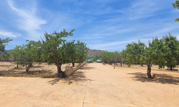 Resale - Country House -
Hondon - Hondon de Las Nieves