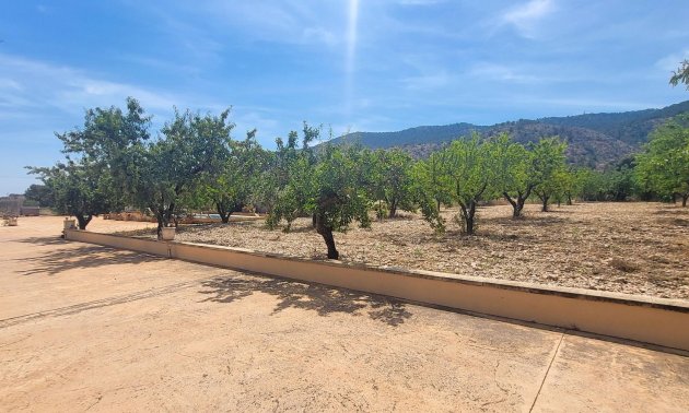 Resale - Country House -
Hondon - Hondon de Las Nieves