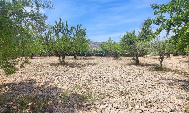 Resale - Country House -
Hondon - Hondon de Las Nieves