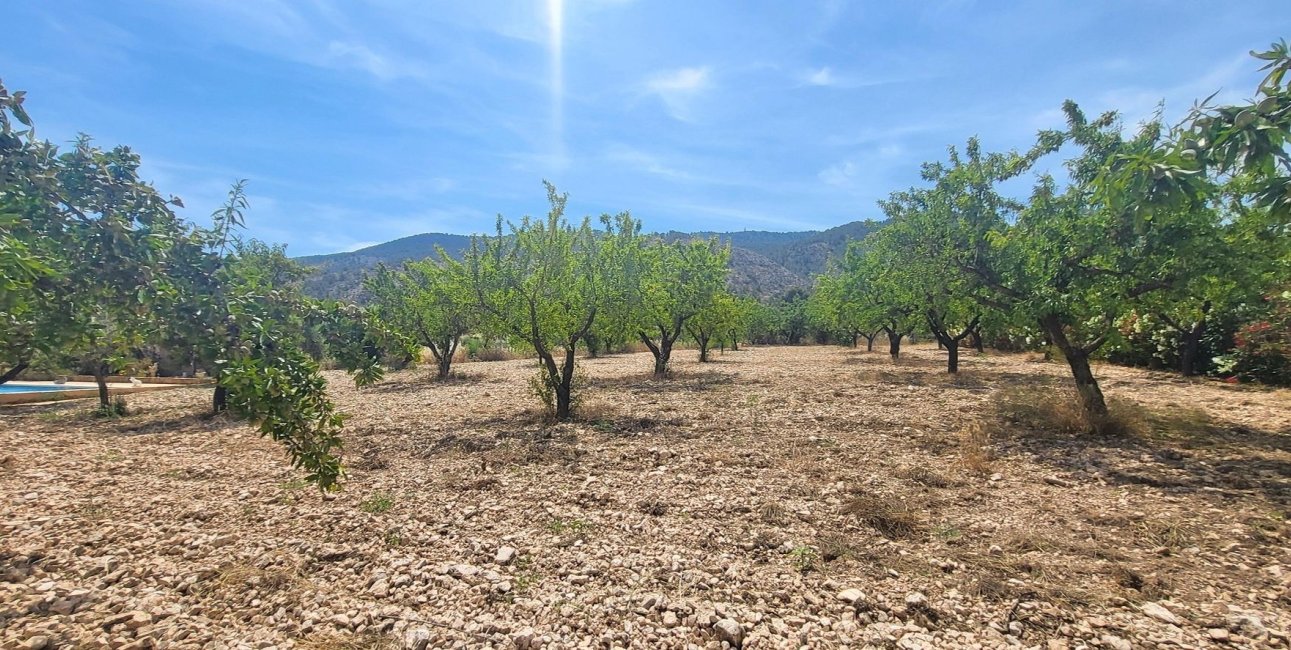 Resale - Country House -
Hondon - Hondon de Las Nieves