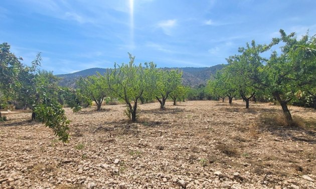 Resale - Country House -
Hondon - Hondon de Las Nieves