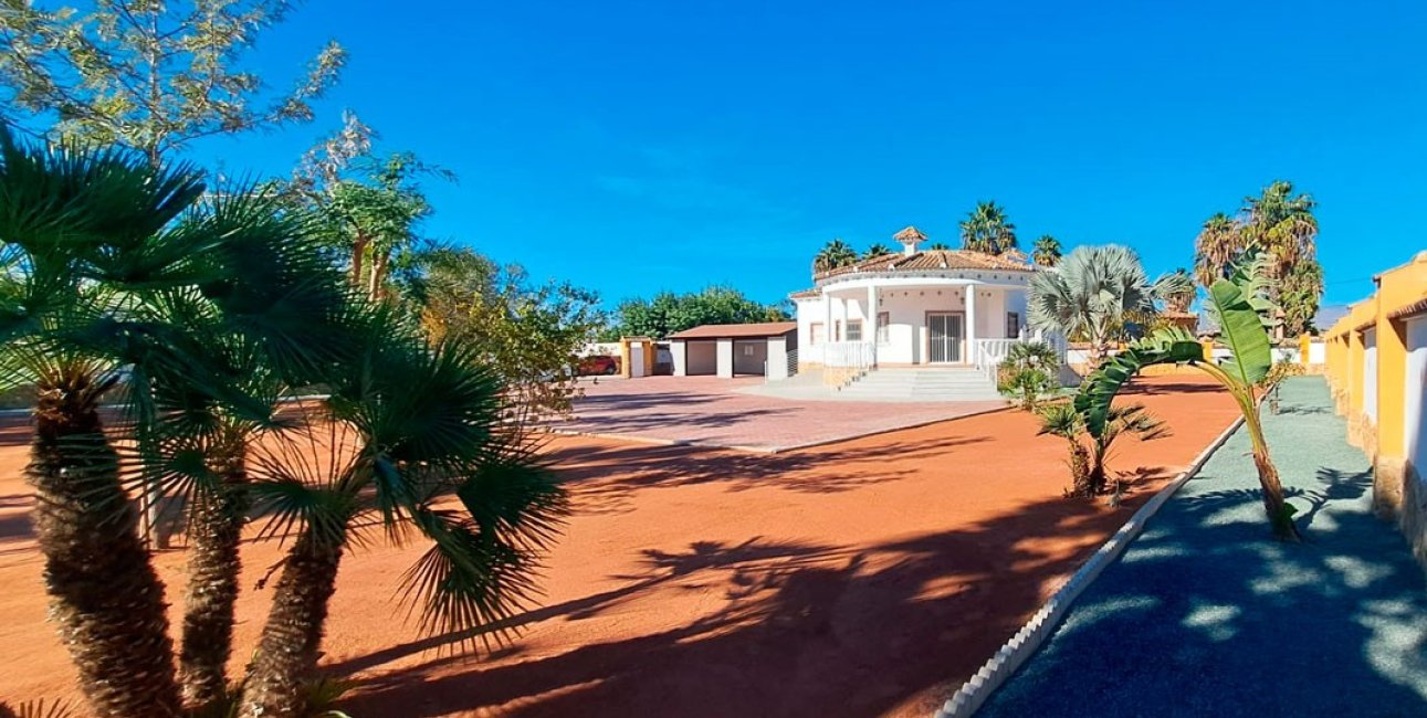 Reventa - Finca -
Catral - Catral - Country