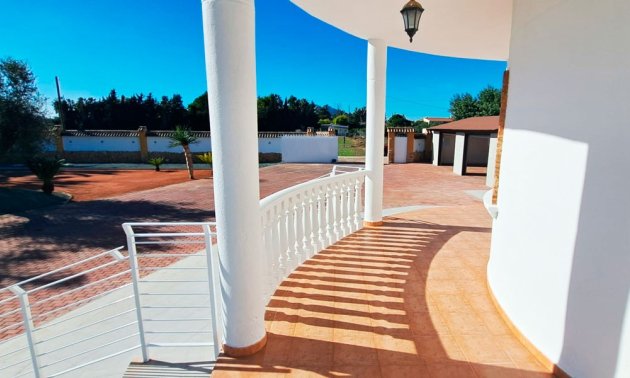 Reventa - Finca -
Catral - Catral - Country