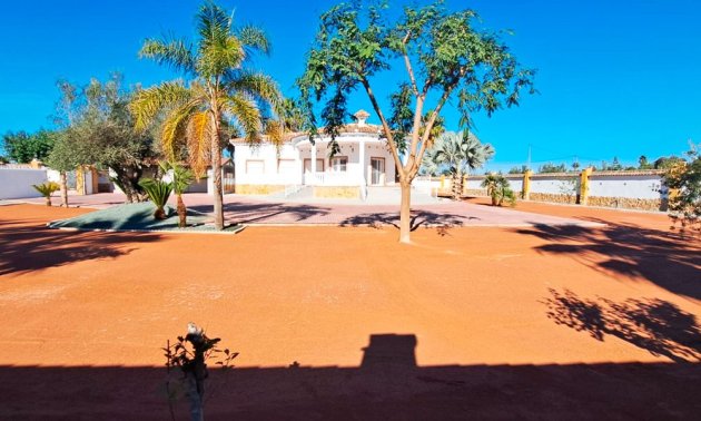 Reventa - Finca -
Catral - Catral - Country
