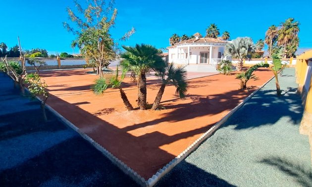 Reventa - Finca -
Catral - Catral - Country