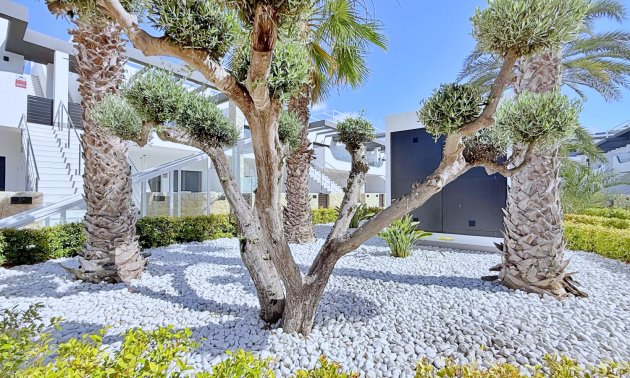 Resale - Apartment / flat -
Orihuela Costa - Punta Prima