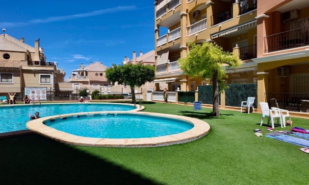 Rynek wtórny - Mieszkanie  -
Torrevieja - Torreblanca