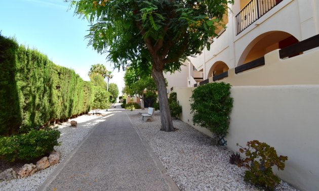 Reventa - Apartamento / piso -
Orihuela Costa - Playa Flamenca