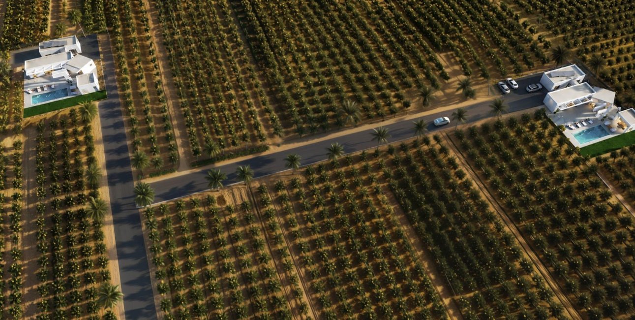 New Build - Villa -
Benejúzar - alta