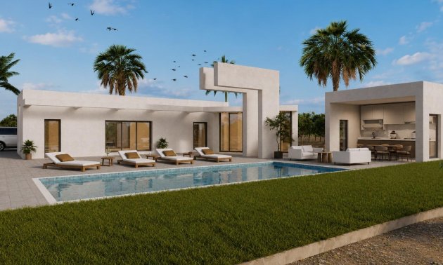 New Build - Villa -
Benejúzar - alta